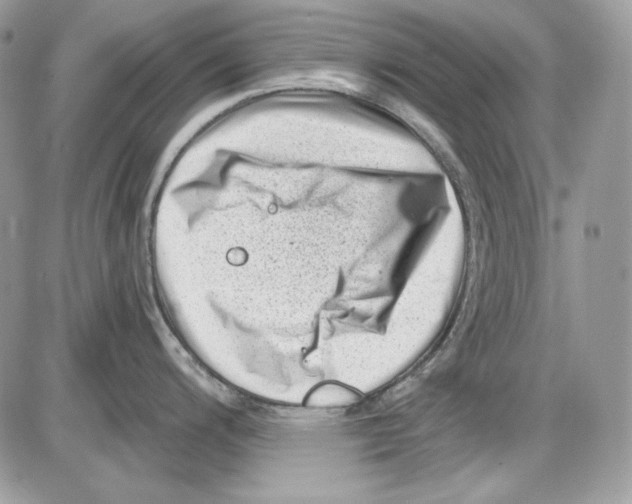 X0000085801200200704131913