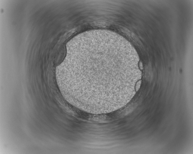 X0000085801201200704131912