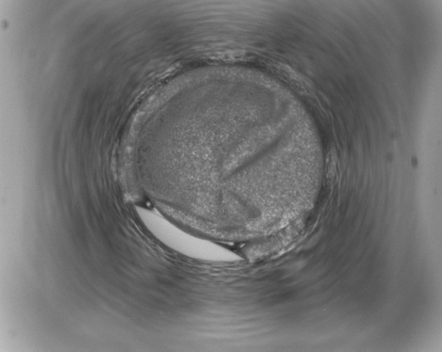 X0000085801202200704131912