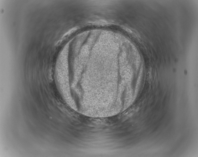 X0000085801205200704131912