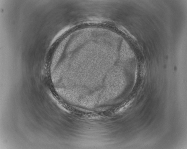 X0000085801208200704131912