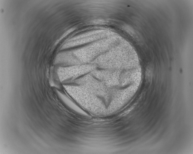 X0000085801209200704131912