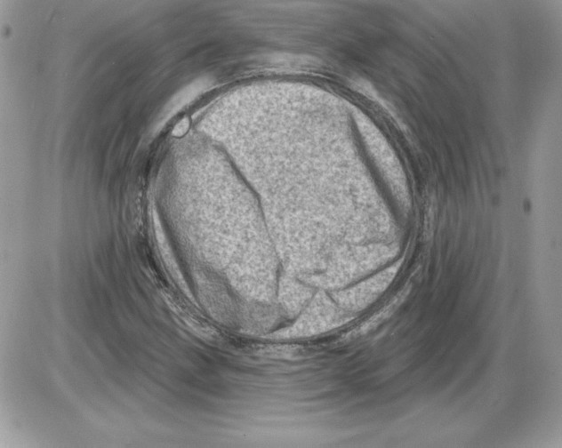 X0000085801211200704131912