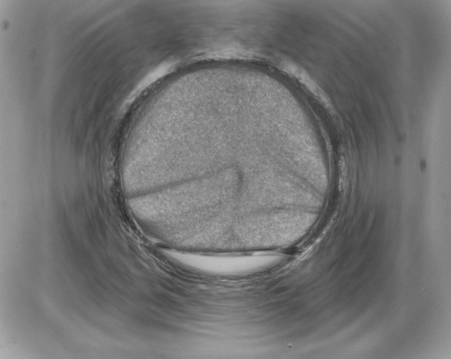 X0000085801213200704131912