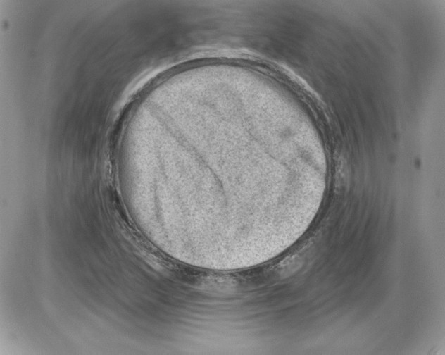 X0000085801215200704131912