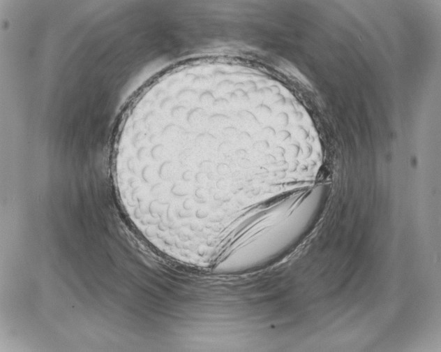 X0000085801216200704131912