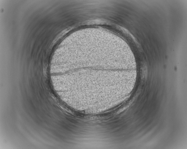 X0000085801217200704131912