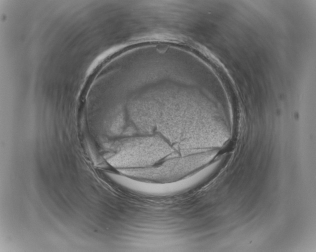 X0000085801222200704131912