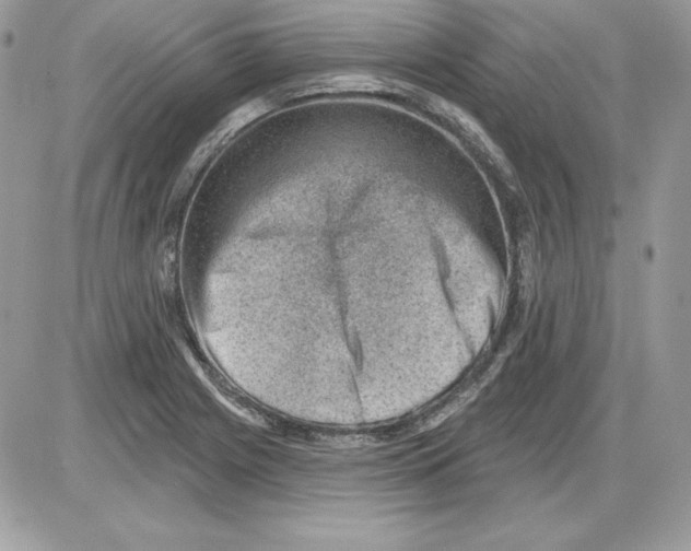 X0000085801225200704131912