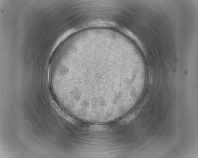 X0000085801227200704131912