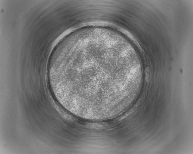 X0000085801229200704131912