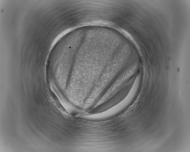 X0000085801230200704131912