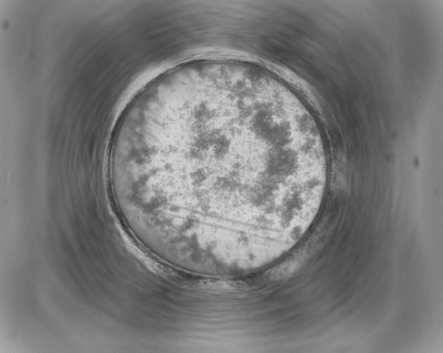 X0000085801231200704131912