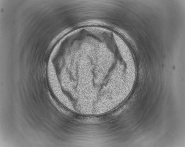 X0000085801233200704131912