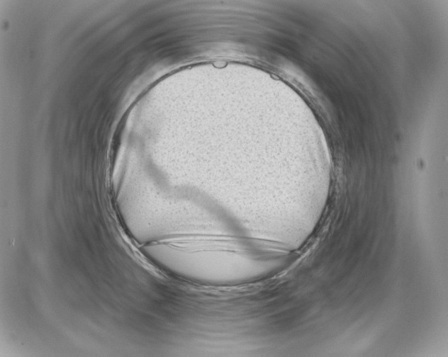 X0000085801236200704131913