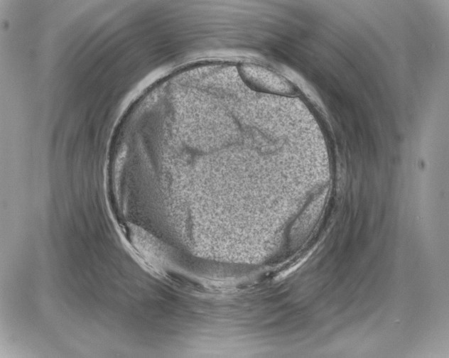 X0000085801237200704131913