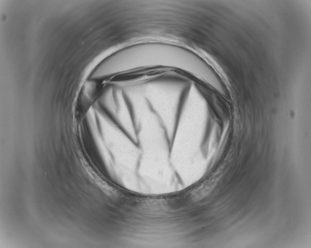 X0000085801238200704131913