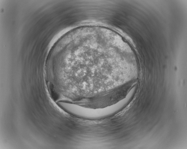 X0000085801239200704131913