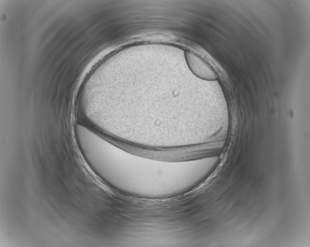 X0000085801240200704131913