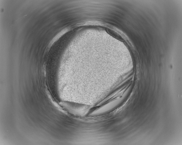 X0000085801241200704131913