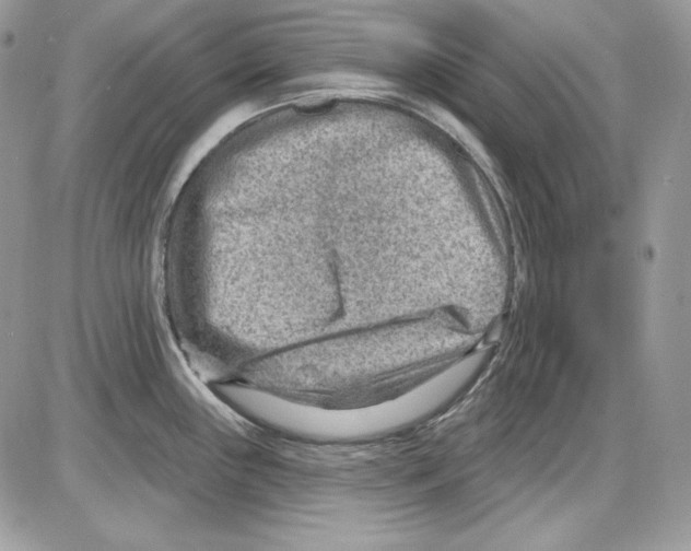 X0000085801243200704131913