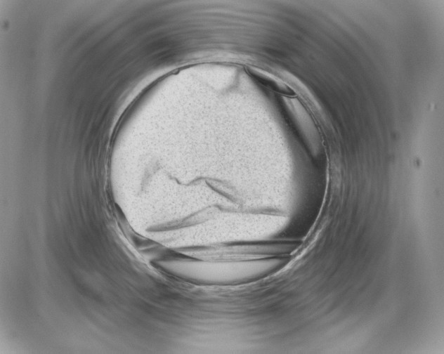 X0000085801244200704131913