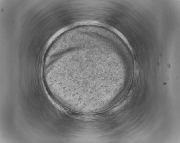 X0000085801245200704131913