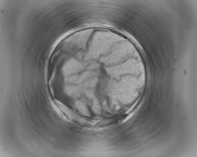 X0000085801246200704131913