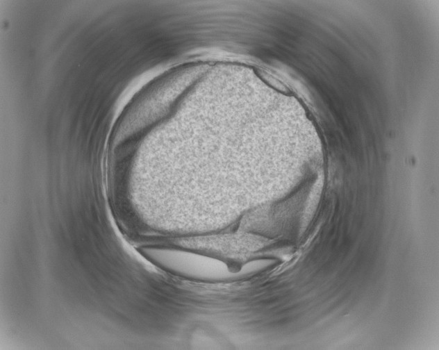 X0000085801247200704131913