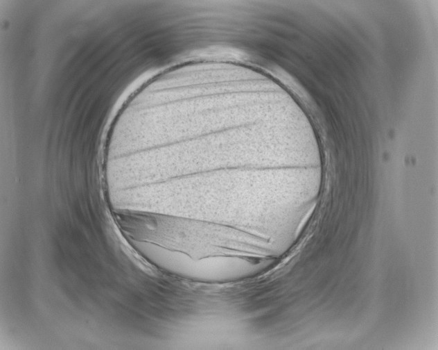 X0000085801248200704131913