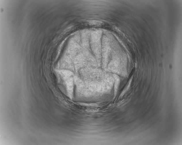 X0000085801249200704131912