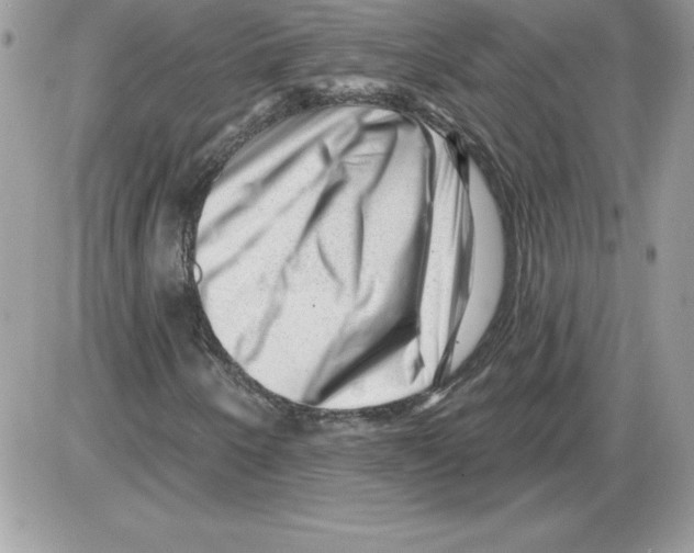 X0000085801250200704131912