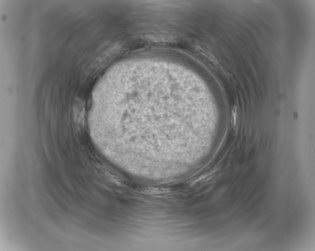 X0000085801251200704131912