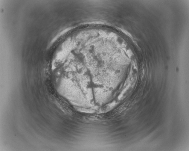 X0000085801255200704131912