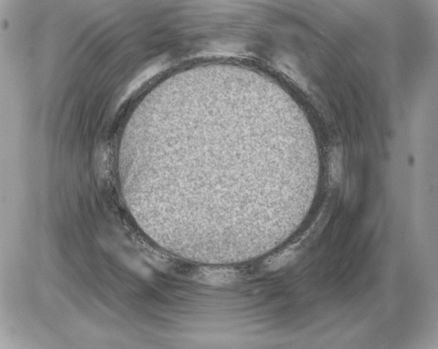 X0000085801258200704131912