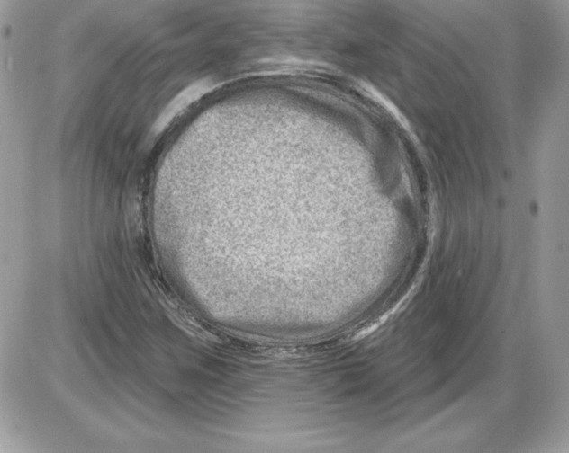 X0000085801259200704131912