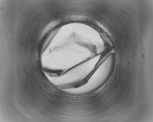 X0000085801261200704131912