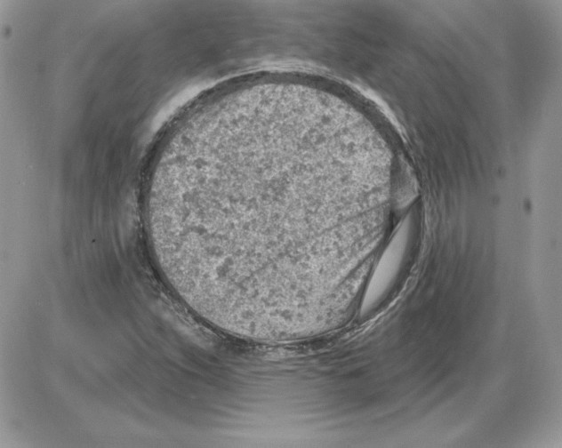 X0000085801263200704131912