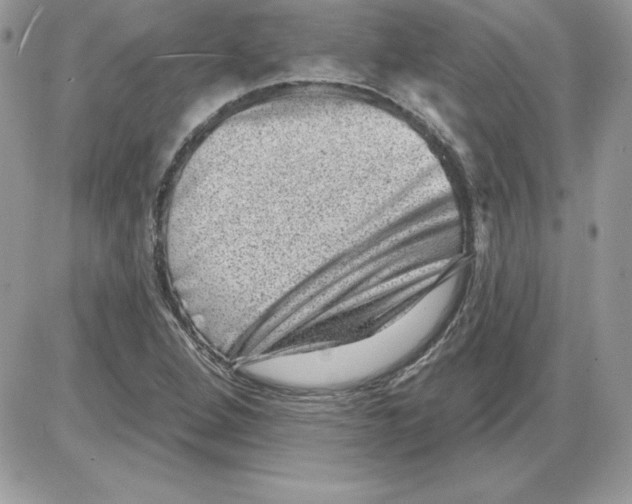 X0000085801264200704131912