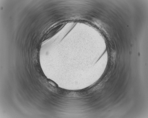 X0000085801265200704131912