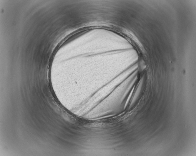 X0000085801268200704131912