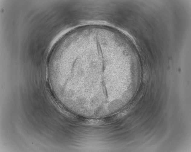 X0000085801271200704131912