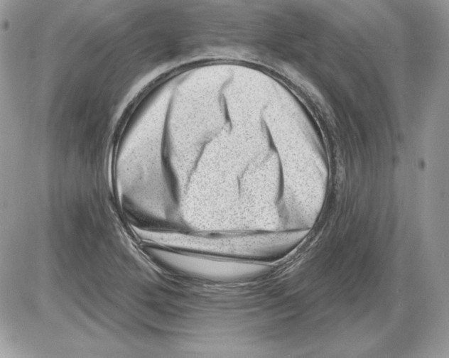 X0000085801272200704131912