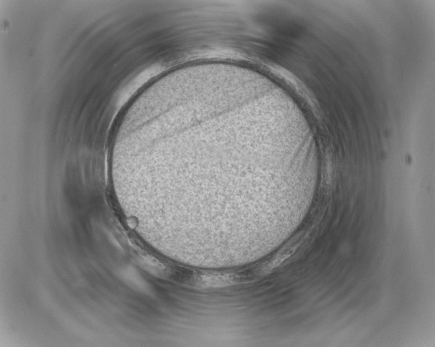 X0000085801274200704131912