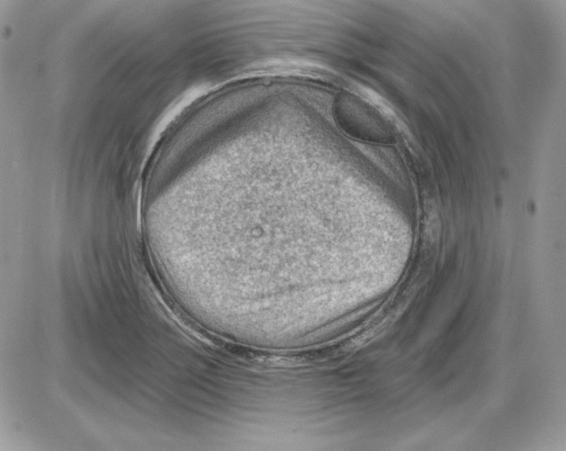 X0000085801275200704131911