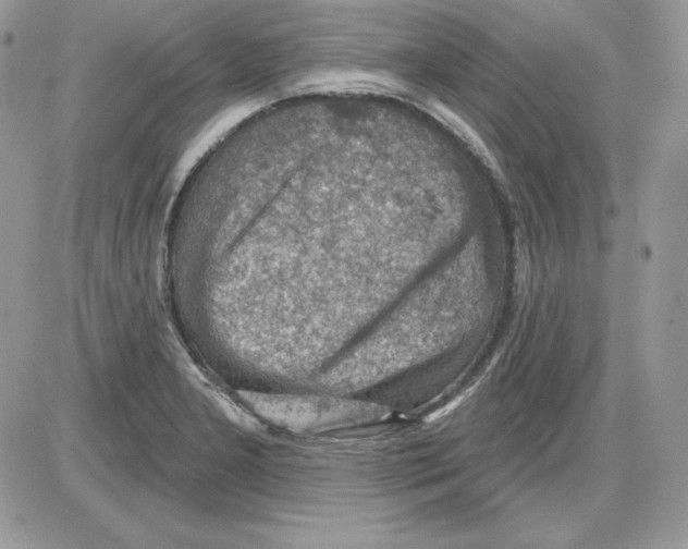 X0000085801277200704131911