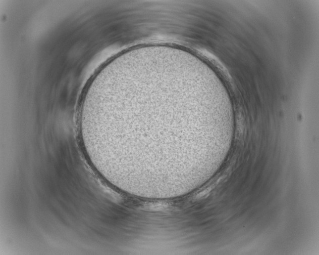 X0000085801278200704131911