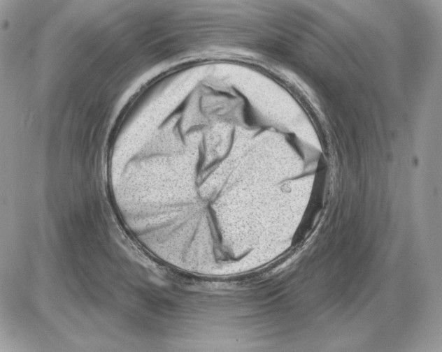 X0000085801280200704131911