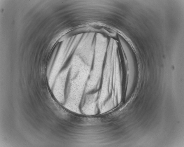 X0000085801281200704131911