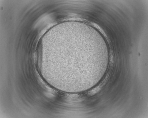 X0000085801282200704131911